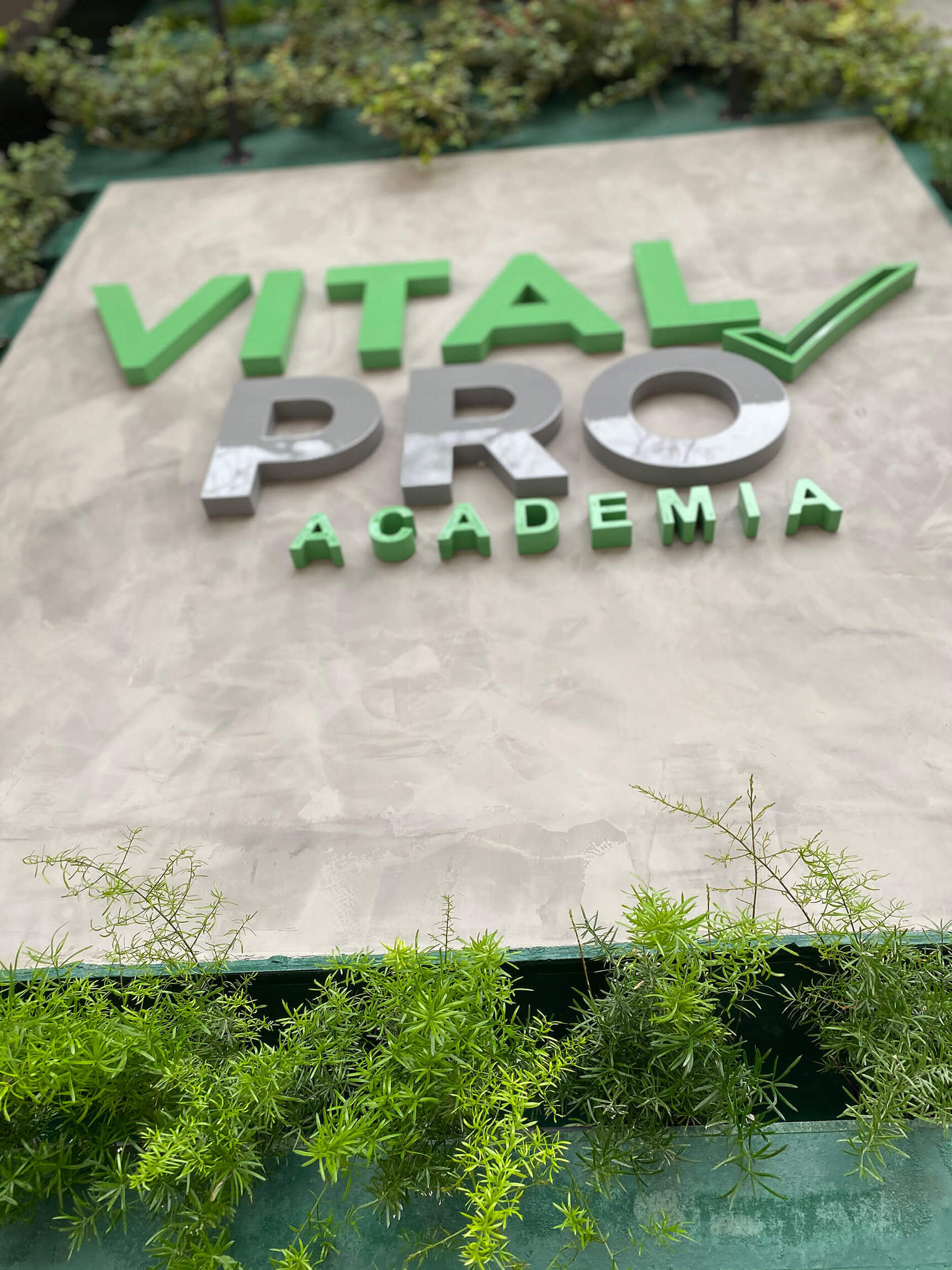 Academia Vita Fit.